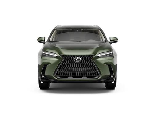 Green 2026 Lexus NX 350 Luxury