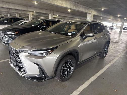 2025 Lexus NX 250 Base