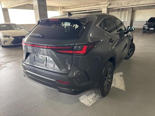 2025 Lexus NX 250 Premium