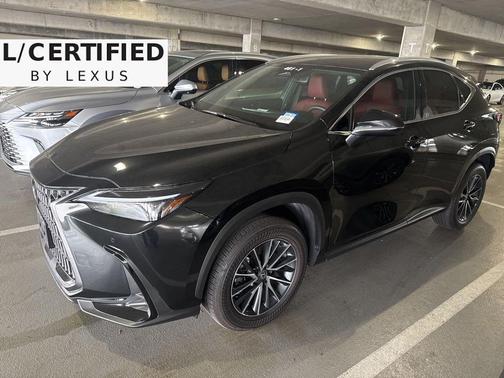 2025 Lexus NX 250 Base