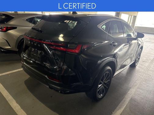 2025 Lexus NX 250 Base
