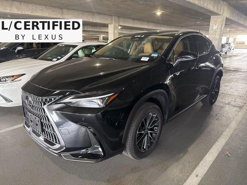 2025 Lexus NX 250 Premium