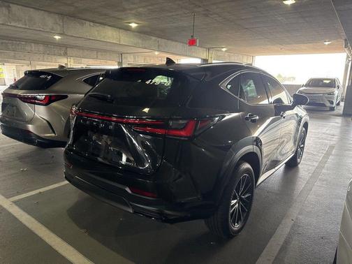 2025 Lexus NX 250 Premium