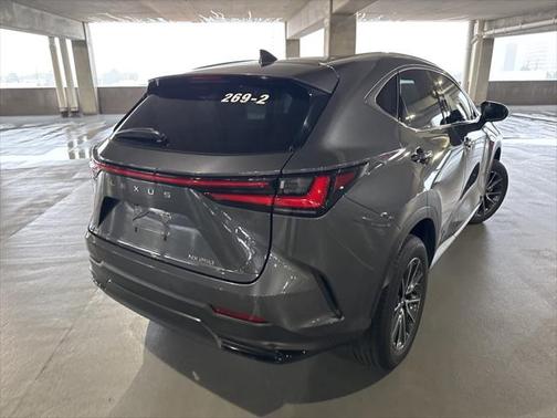 2025 Lexus NX 250 Premium