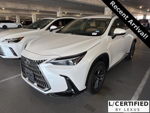 2025 Lexus NX 250 Base
