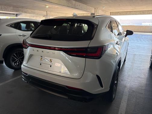 2025 Lexus NX 250 Base