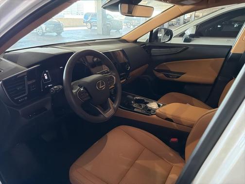 2025 Lexus NX 250 Base