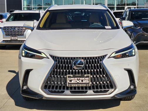 2025 Lexus NX 250 Base