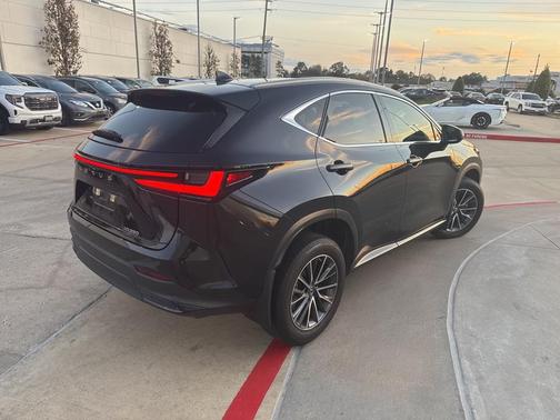 2023 Lexus NX 250 Premium