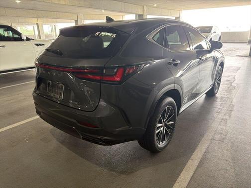 Gray 2025 Lexus NX 250 Premium