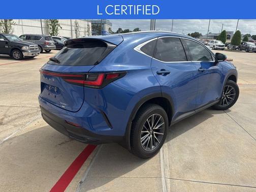 2025 Lexus NX 350 Luxury