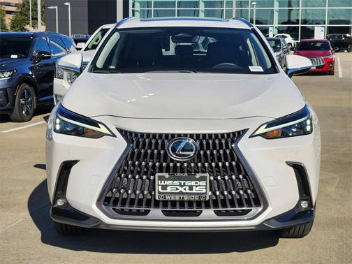 2025 Lexus NX 250 Premium