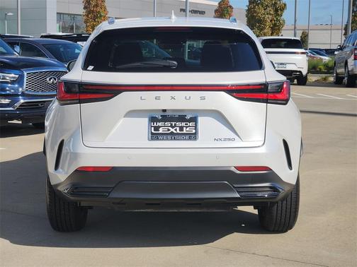 2025 Lexus NX 250 Premium