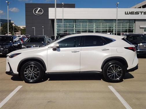 2025 Lexus NX 250 Premium