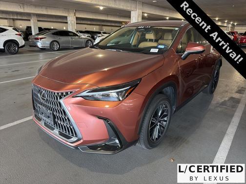 2025 Lexus NX 250 Base