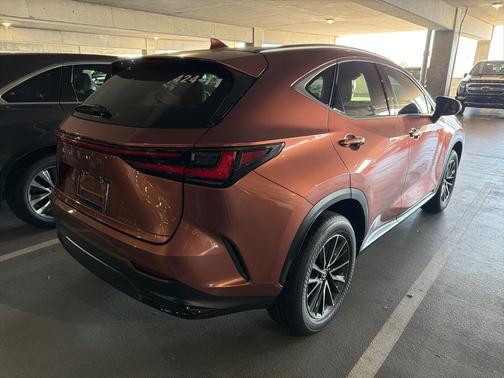 2025 Lexus NX 250 Base