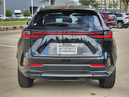 2025 Lexus NX 250 Premium