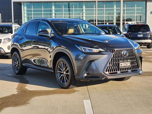 2025 Lexus NX 250 Premium