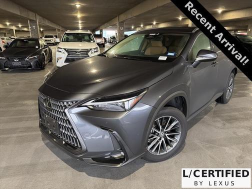 2025 Lexus NX 250 Premium