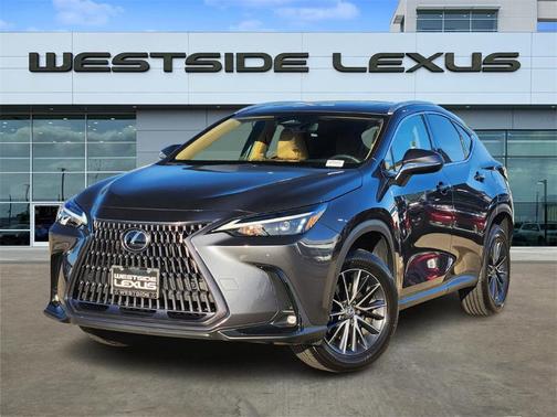 2025 Lexus NX 250 Premium