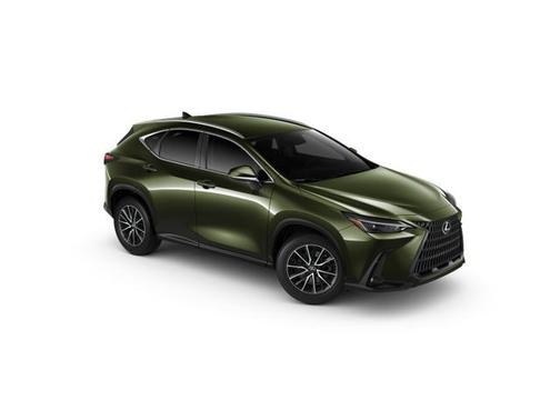 2025 Lexus NX 250 Base