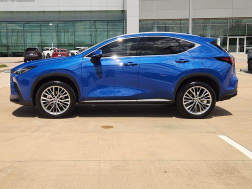 Blue 2025 Lexus NX 350 Premium