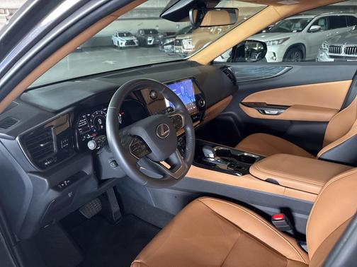 2025 Lexus NX 250 Premium