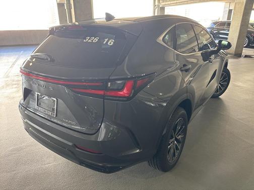2025 Lexus NX 250 Premium