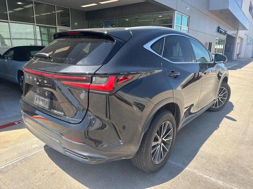 2024 Lexus NX 250 Premium