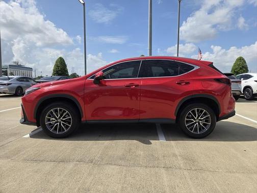 2025 Lexus NX 250 Premium
