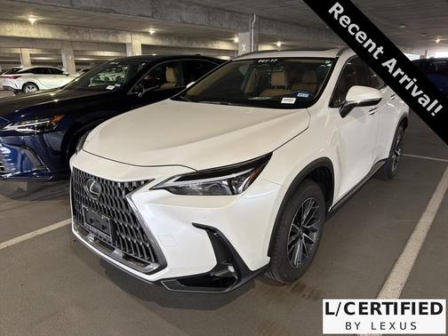 2025 Lexus NX 250 Premium