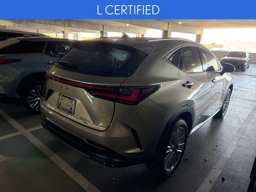 2025 Lexus NX 350 Premium