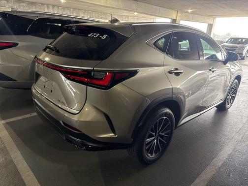 2025 Lexus NX 250 Premium