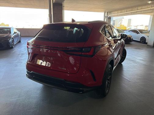 2025 Lexus NX 250 Premium