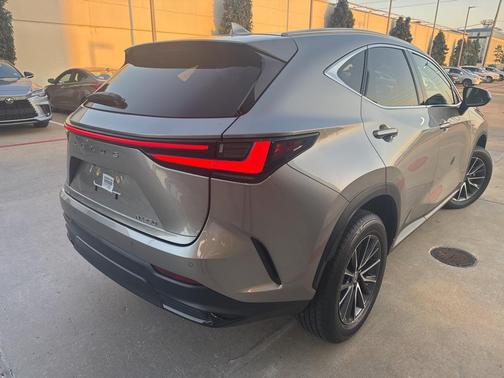 2024 Lexus NX 250 Premium