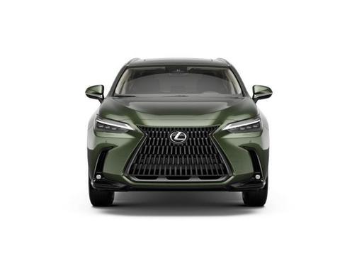 Green 2026 Lexus NX 350h Luxury