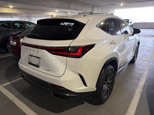 2025 Lexus NX 250 Base