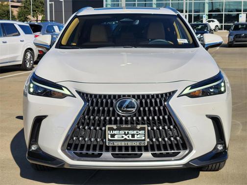 2025 Lexus NX 250 Premium