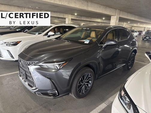 2025 Lexus NX 250 Premium