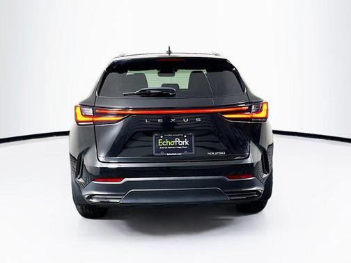 2024 Lexus NX 250 NX 250