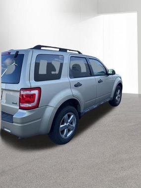 Champagne 2010 Ford Escape XLT