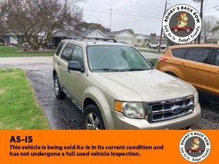 Champagne 2010 Ford Escape XLT