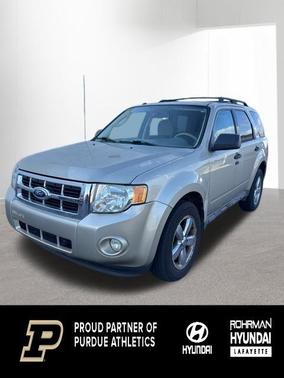 Champagne 2010 Ford Escape XLT