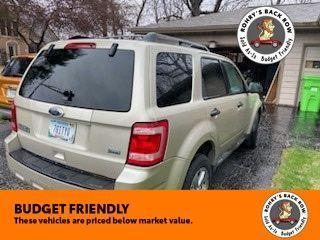 Champagne 2010 Ford Escape XLT