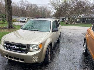 Champagne 2010 Ford Escape XLT