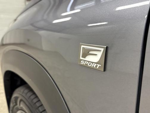 2020 Lexus NX 300 F Sport