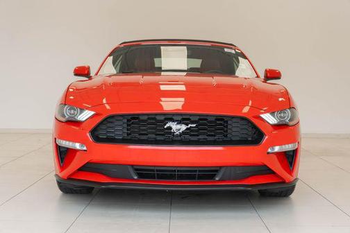 Race Red 2019 Ford Mustang EcoBoost Premium