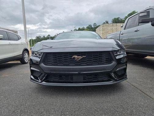 Shadow Black 2024 Ford Mustang EcoBoost Premium