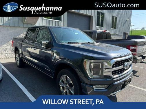 Gray 2021 Ford F-150 Platinum