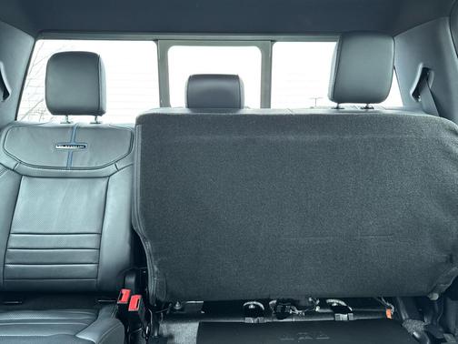 2025 Ford F-250 Platinum